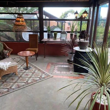 Cebollino La Orotava