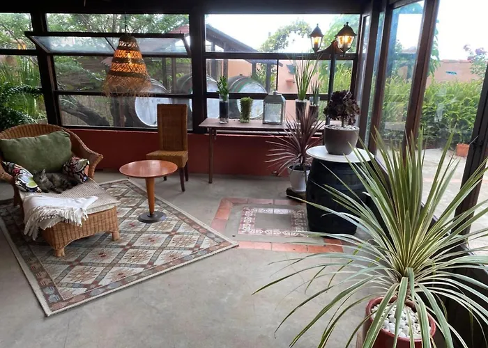 Cebollino Ля Оротава