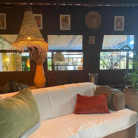 Cebollino Tatil Evi La Orotava